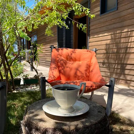 Szálloda Ata Boutique Altınyunus