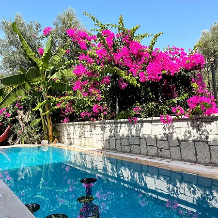 Ata Boutique 5* Altınyunus