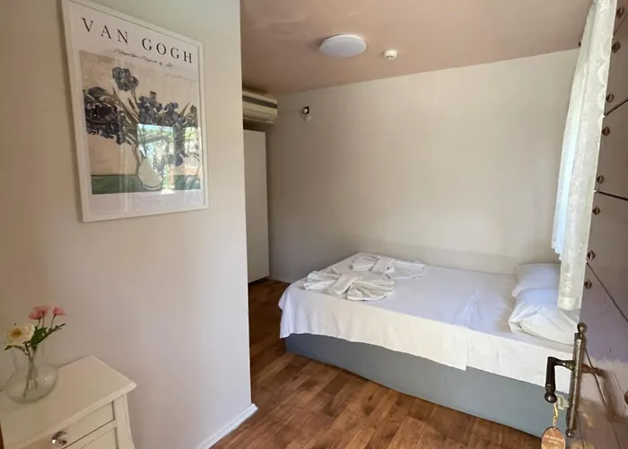 Ata Boutique 호텔 Altinyunus