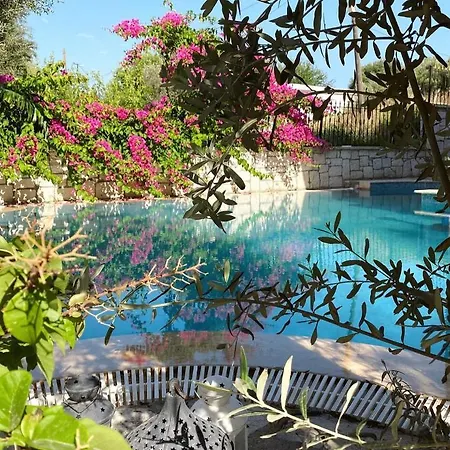 ホテル Ata Boutique