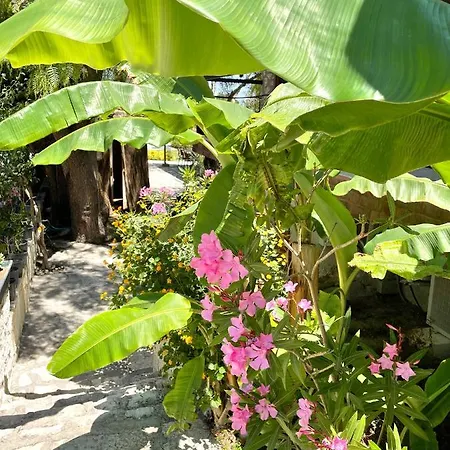 מלון Ata Boutique