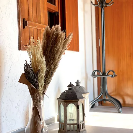 Ata Boutique מלון Altinyunus